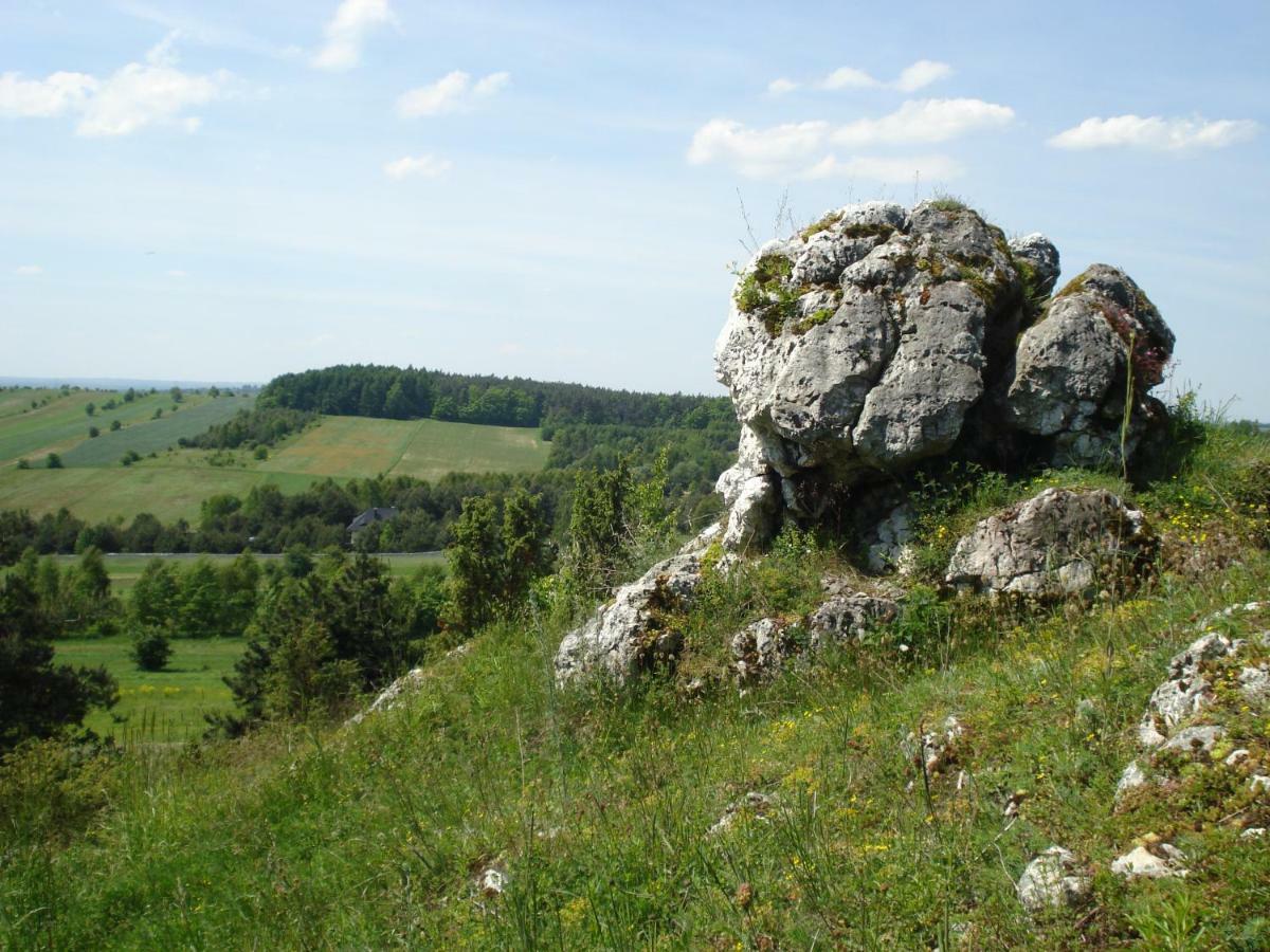 Villa Jura Pokoje Goscinne Zarki Exterior foto